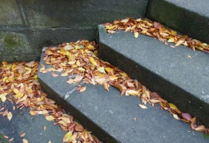 stone steps at saltwell park gateshead newcastle