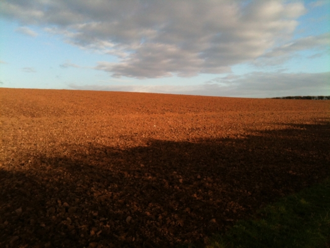 scottish ploughed field
